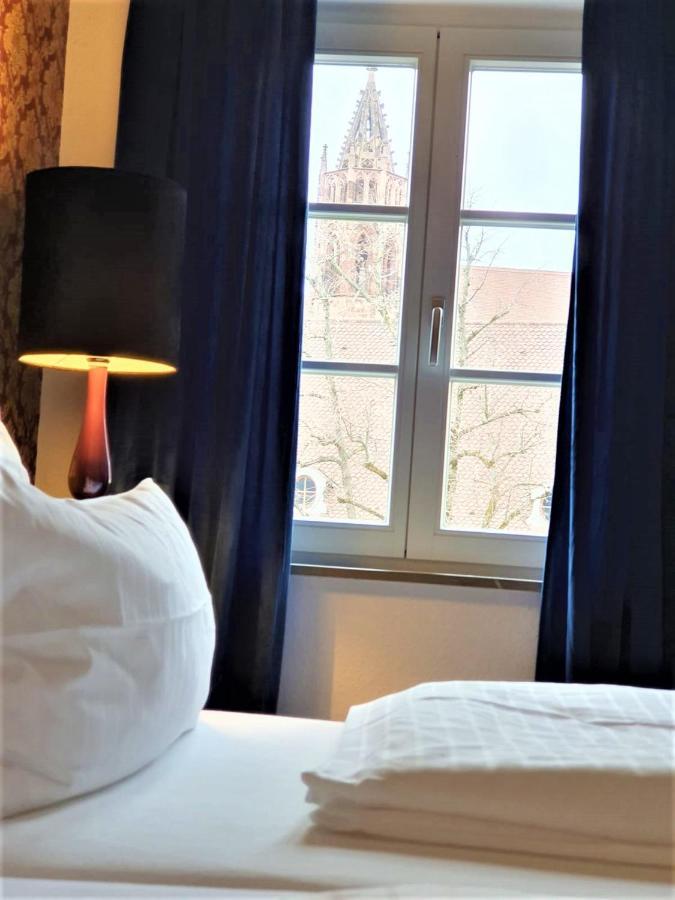 فرايبورغ Luxus Apartment Ludwigxv المظهر الخارجي الصورة